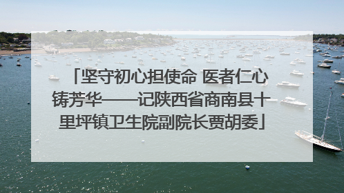 坚守初心担使命 医者仁心铸芳华——记陕西省商南县十里坪镇卫生院副院长贾胡委